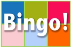 Bingo (1)